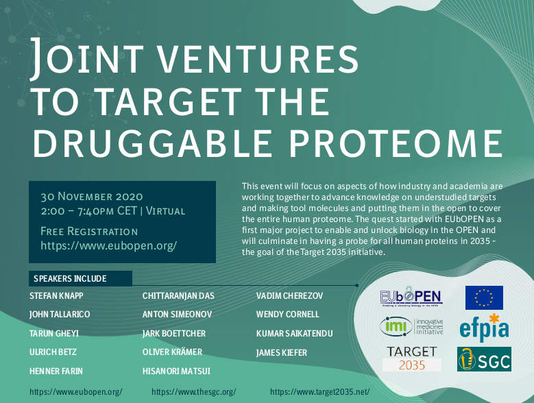 Joint Ventures to Target the Druggable Proteome Programme
