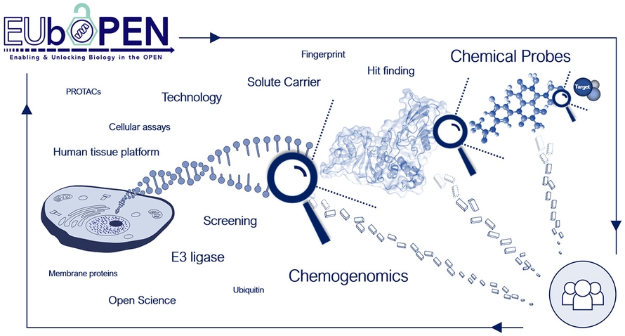 EUbOPEN diagram