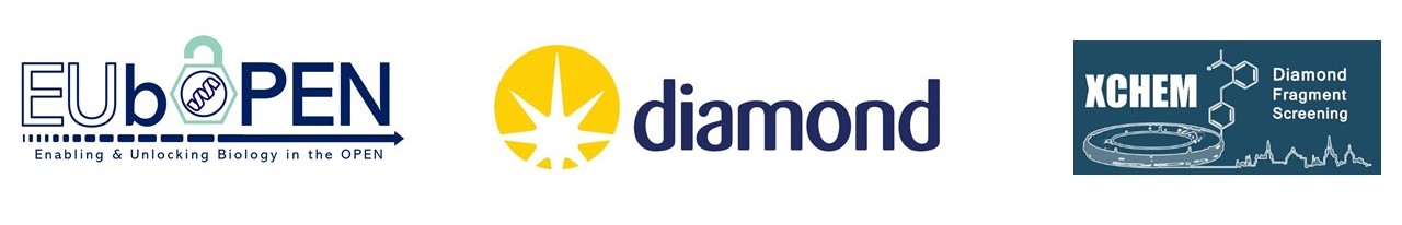 Logo Banner Diamond XChem