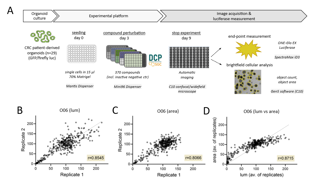 Semi-automatic platform for profiling organoid viability by enzymatic and image-based read-outs. 
