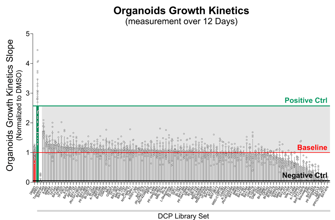 Graph of organoid growth kinetics