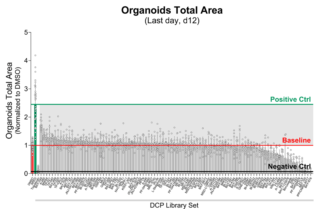 Graph of organoid total area
