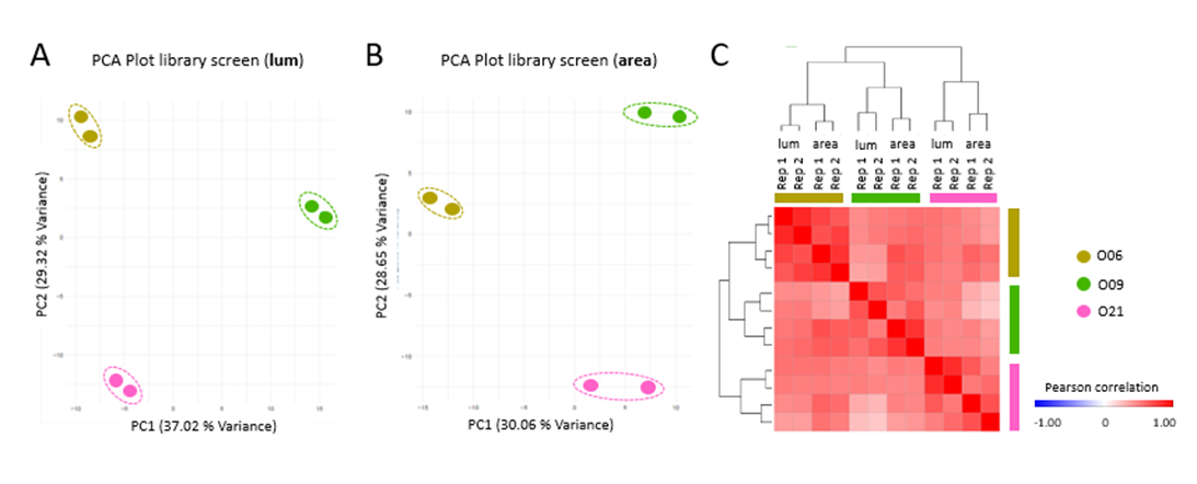 Image-based and enzymatic read-outs capture patient-specific responses of CRC organoids. 