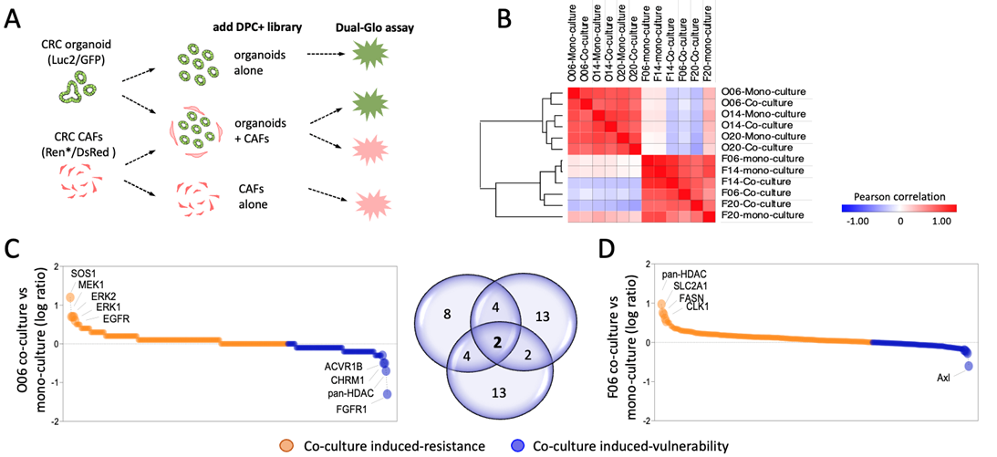 Perturbation of the tumor-stroma crosstalk