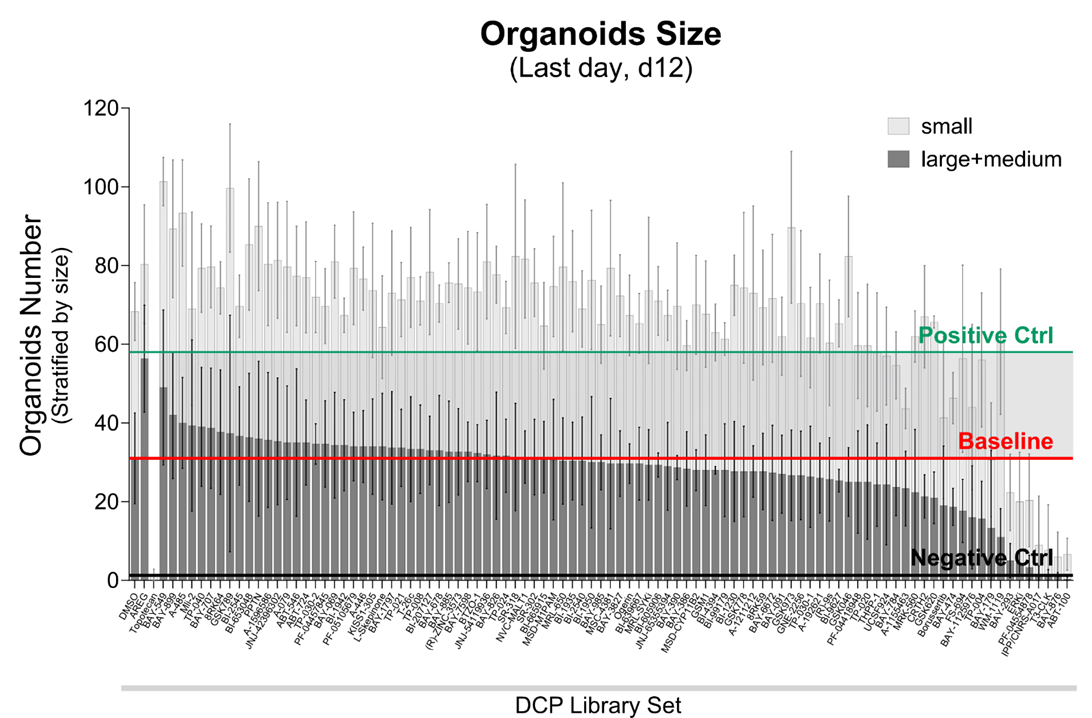 Graph showing organoid size after 12 days treatment with chemical probes